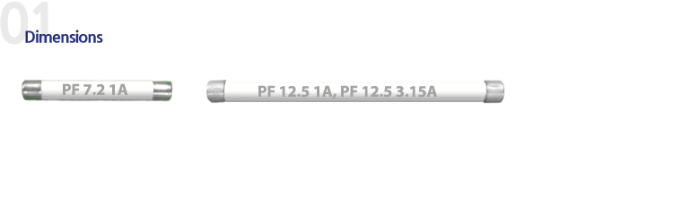 PT protection fuse (PF 25P 1B)